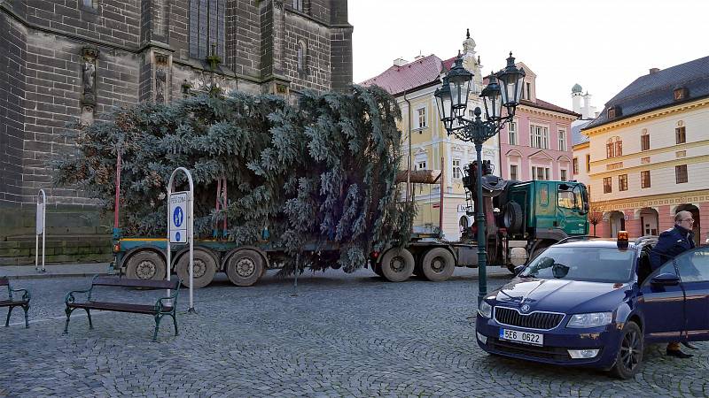 Chrudimský vánoční strom přivezli ze Slatiňan.