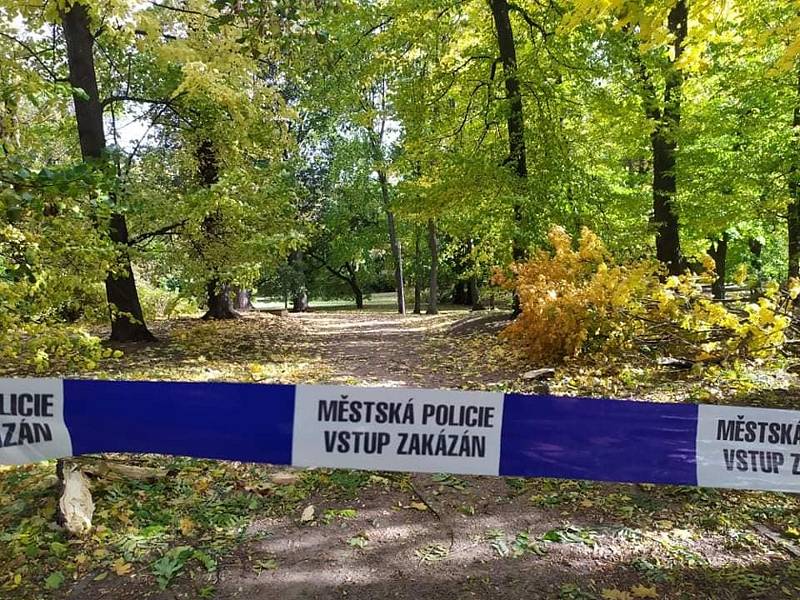 Městský park v Chrudimi je uzavřen. Vítr tady zničil několik stromů.