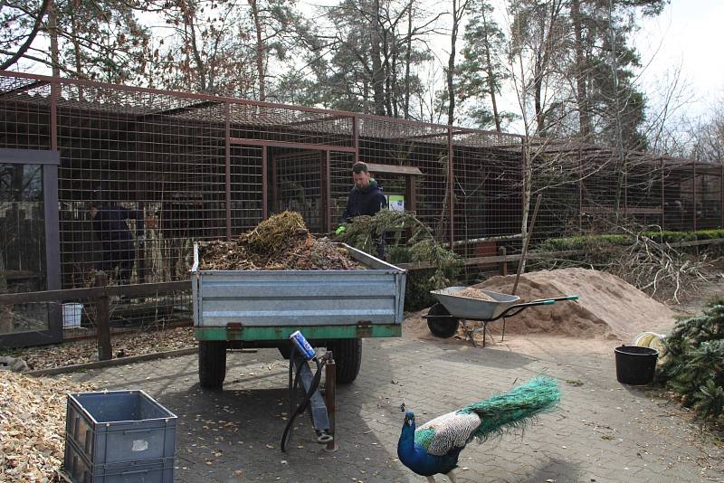 Příprava na novou sezónu v Záchranné stanici Pasíčka