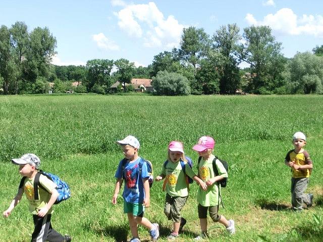 Děti předškolního věku při celostátní ochranářské akci poznávaly plno zajímavých tajů při zdařilé procházce.