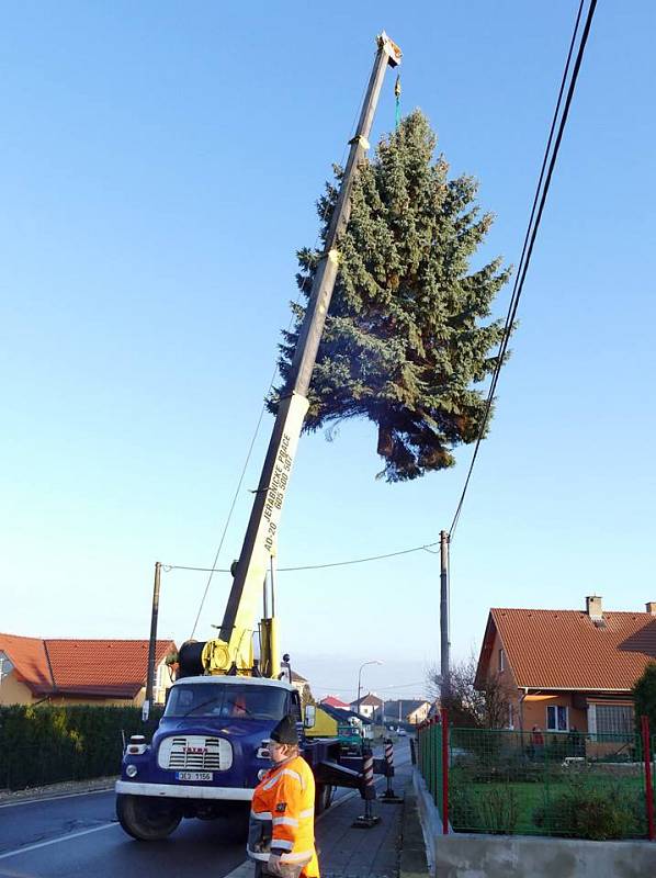 Vánoční strom přijel do Chrudimi z Ostřešan