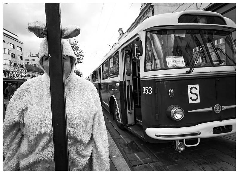 Historická tramvaj stylově projela městem perníku.