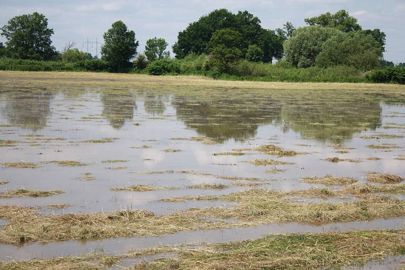 Laguna poblíž soutoku Chrudimky s Novohradkou. Zatímco Chrudimka byla jen mírně vzdutá, Novohradka připomínala veletok