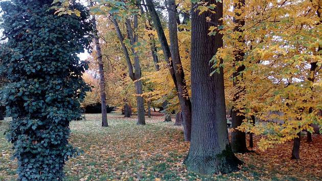 Zámecký park v Heřmanově Městci je zavřený. Foto: čtenářka z Pardubic
