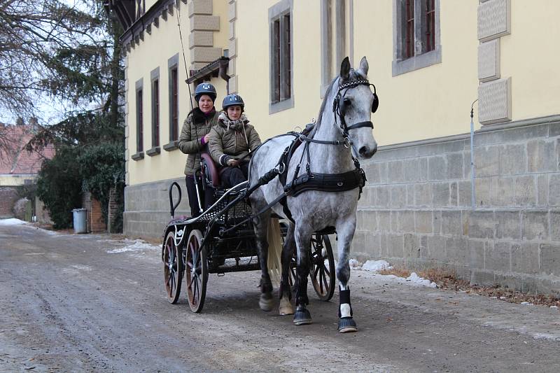 Zimní Jezdecký pohár ČJF ve Slatiňanech