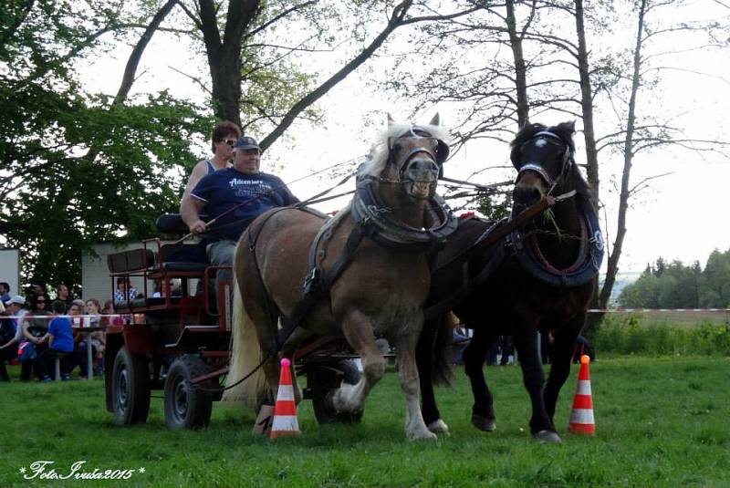 Den koní v Kozojedech.