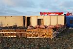 Celkem bylo uvnitř kolem 100 kusů prasat, z toho 30 jich nepřežilo. Převážených krav bylo celkem 8, jedna nehodu nepřežila.