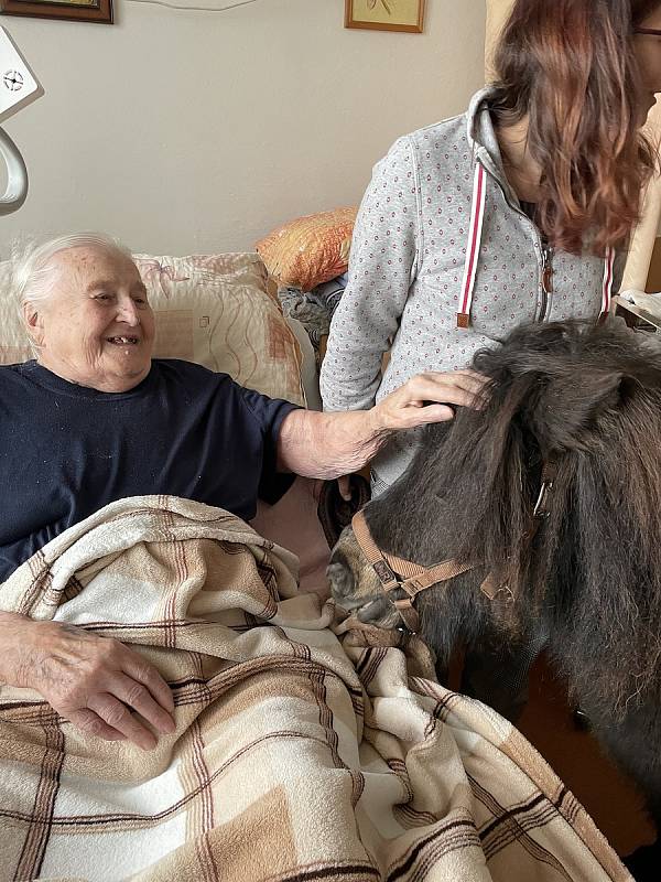 Animoterapii už znají klienti Domova pro seniory U Bažantnice v Heřmanově Městci. Je velmi oblíbená