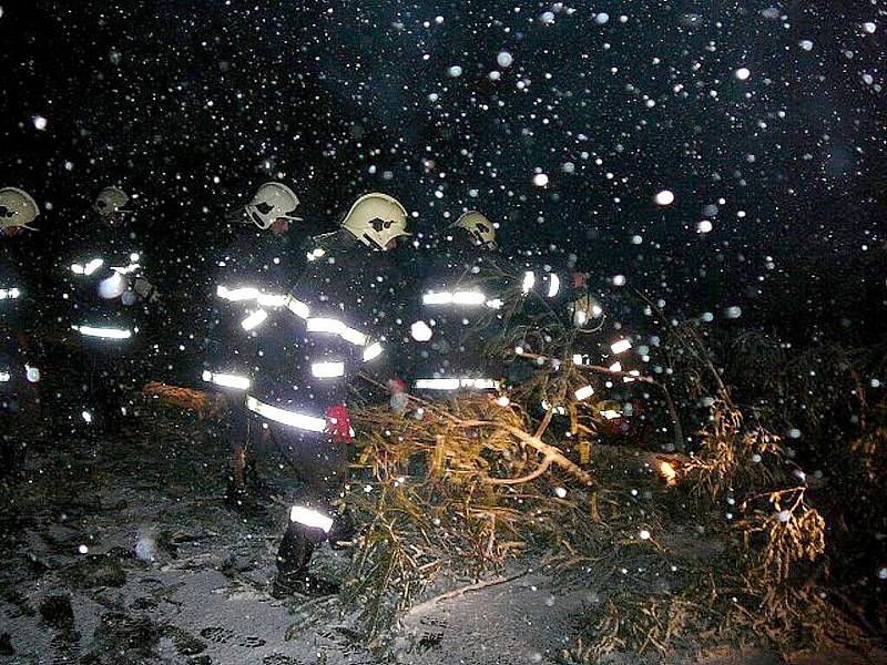 Prosečšstí dobrovolní hasiči likvidovali spadlý strom mezi Prosečí a Borovou.