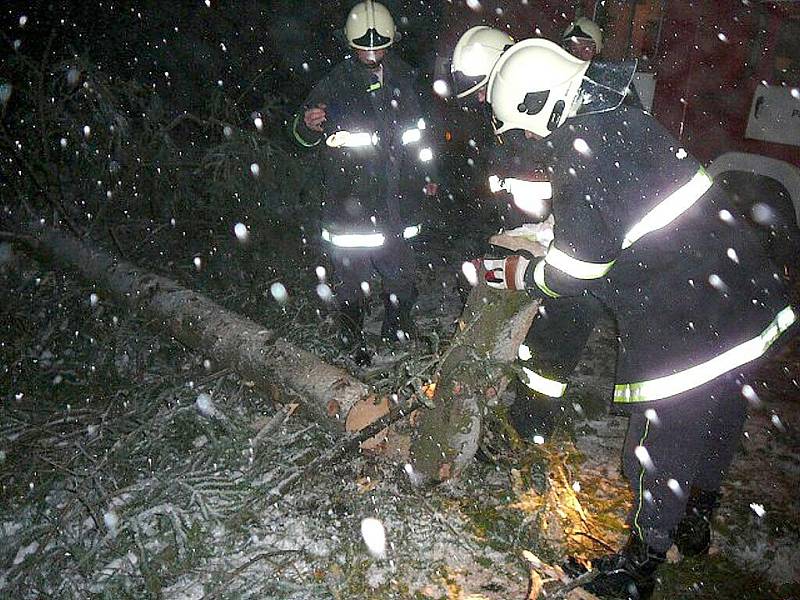 Prosečšstí dobrovolní hasiči likvidovali spadlý strom mezi Prosečí a Borovou.