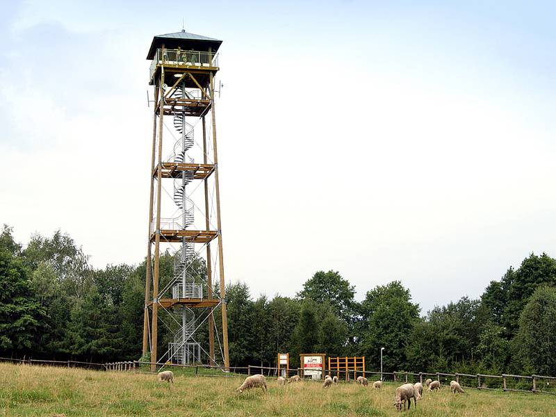 Rozhledna na Pasekách v Proseči je ve slunečných letních dnech cílem mnoha turistů.