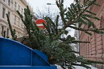 Vánoční stromky rozhodně nepatří do popelnic. Lidé by je měli odnést do speciálního kontejneru, který město přistaví na konkrétní adresy.