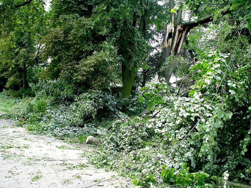 Následky řádění středeční večerní vichřice v Luži na Chrudimsku.