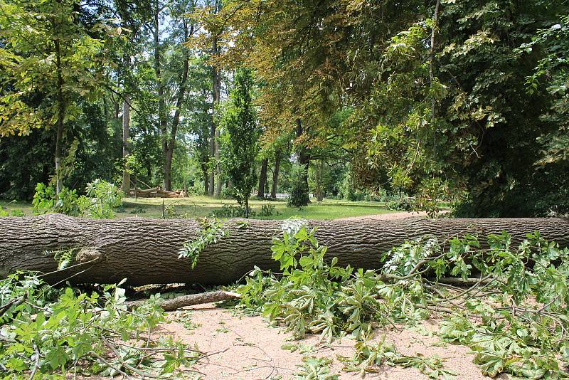 K zemi padaly silné stromy, na místě museli zasahovat pracovníci ČEZ.