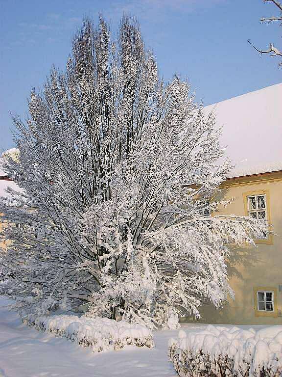 Zimní pohled do Chrasti.