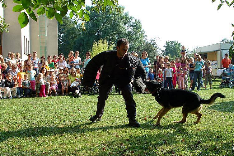 Psovodi se svými svěřenci předvedli v Rosicích své umění. 