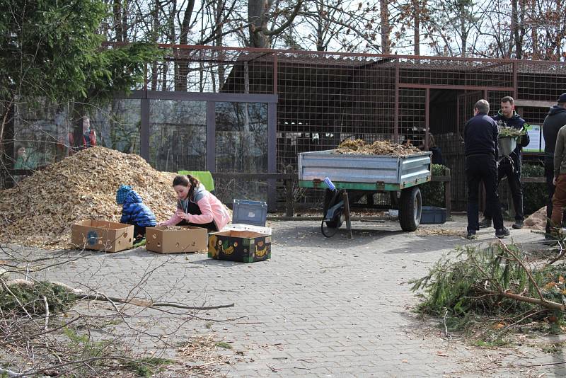 Příprava na novou sezónu v Záchranné stanici Pasíčka