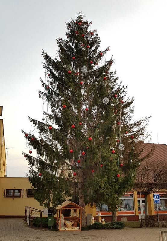 Vánoční strom v Třemošnici