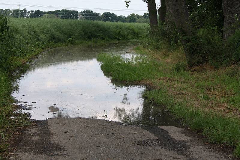 Laguna poblíž soutoku Chrudimky s Novohradkou. Zatímco Chrudimka byla jen mírně vzdutá, Novohradka připomínala veletok