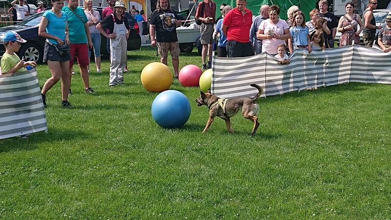 Pivní festival v Heřmanově Městci.