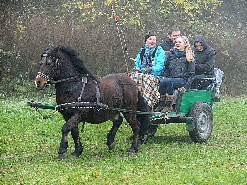 Milovníky koní neodradila v Kozojedech na Chrudimsku od účasti na Hubertově jízdě ani hustá mlha ležící na pastvinách.