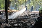 Požár lesního porostu u Lukavice a Výsonína. 