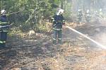 Požár lesního porostu u Lukavice a Výsonína. 