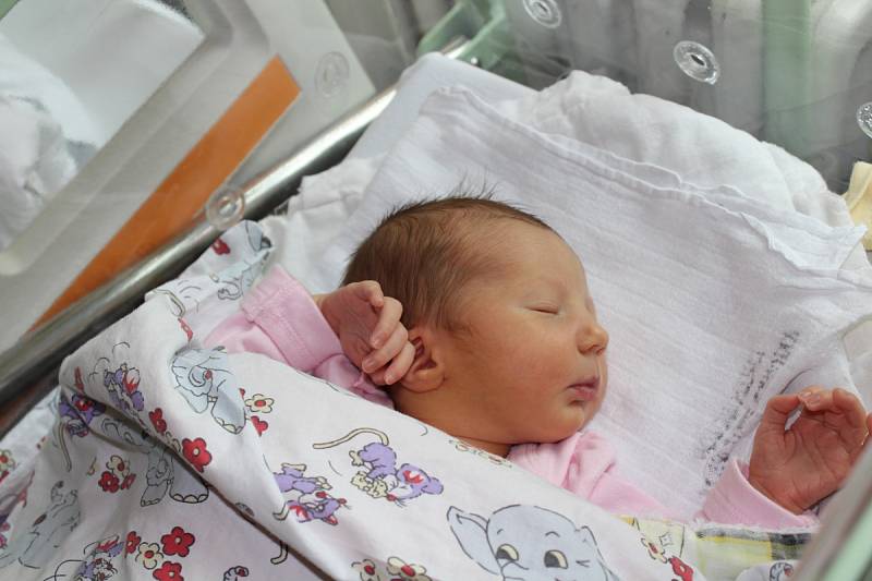 KATEŘINA KOHOUTOVÁ (3,3 kg a 50 cm) udělala radost 2.3. ve 20:30 nejen rodičům Janě a Janovi Kohoutovým z Vyšehněvic, ale také 5leté sestřičce Alici.