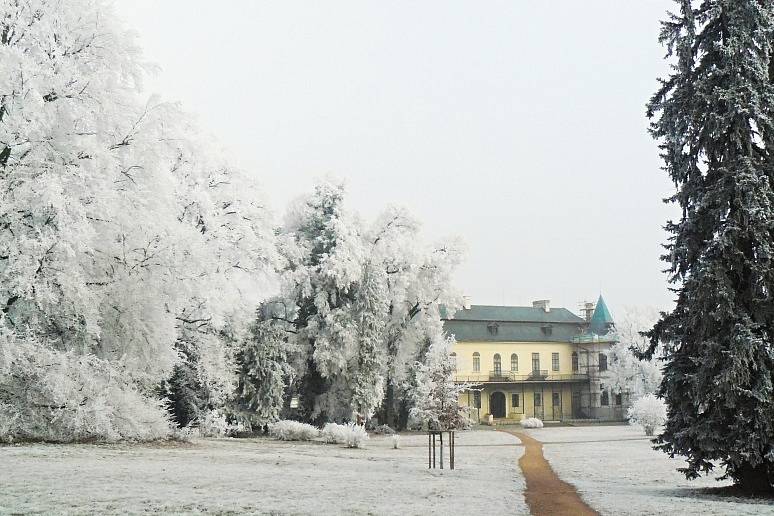 Slatiňanský park v zimě