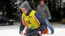 Na sjezdovce v Hluboké u Hlinska se konal tradiční Přebor mikroegionu Hlinecko v lyžování.