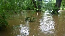 Záplavy na řece Doubravě 25. června 2013.