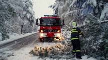 Sněhová kalamita, která zasáhla i východní Čechy, způsobila řadu problémů také na železnici. Jaká je současná situace na východočeských železnicích, sděluje Petr Šťáhlavský z Generálního ředitelství ČD.