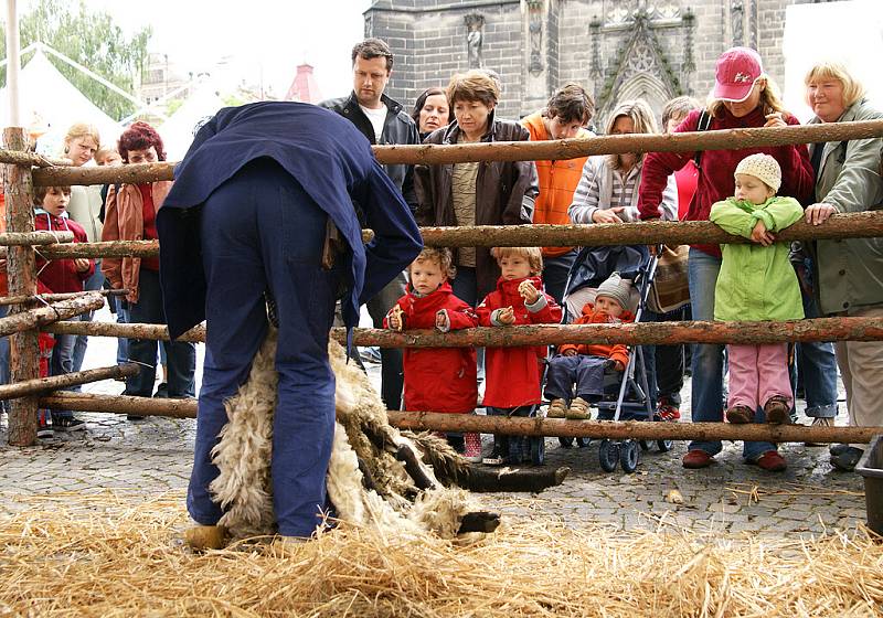 HOLANDSKÝ JARMARK na chrudimském náměstí v sobotu pokazilo deštivé počasí. Holandští přátelé z partnerského města Ede přivezli kromě tradičních sýrů také holandská jídla, pivo, ryby, sladkosti atd. Představili jejich kulturu či práci s dětmi. 