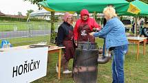 Mezinárodní folklorní festiválek v Hořičkách.