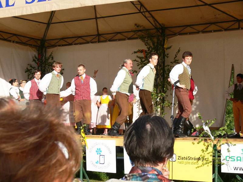 Z bělohradského folklorního festivalu Slavnosti písní a tanců Pod Zvičinou.