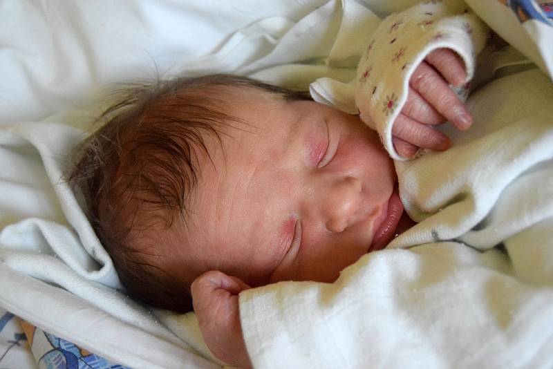 Barbora Nováková se narodila 28. listopadu rodičům Markétě Medviďové a Aleši Novákovi. Po porodu měřila 47 cm a vážila 3,30 kg. Šťastná rodina bydlí v Nové Pace.