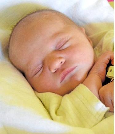 ELIŠKA DVOŘÁKOVÁ se narodila šťastným rodičům Tereze Šulcové a Janu Dvořákovi 2. září. Po porodu vážila 3,10 kg a měřila  50 cm. Doma ve Třtěnicích se na sestřičku těší roční Vendulka.