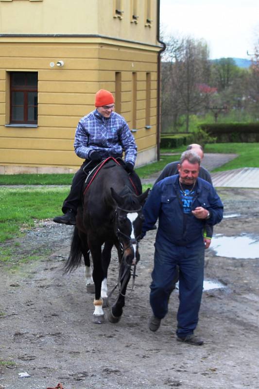 Zvířata v roli lékařů