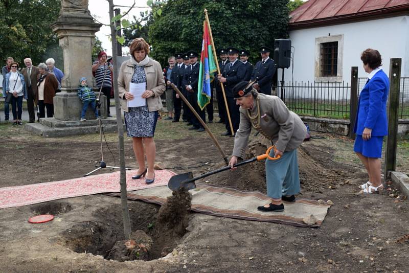 Připomínka založení republiky v Radimi.