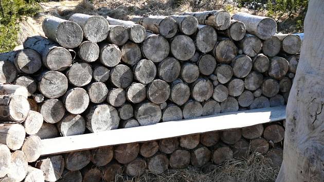 Cena dřeva na stojato