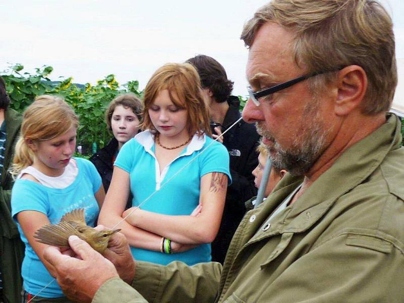 Ornitologové kroužkovali ptáky u rybníka Zrcadlo v Mlýnci.