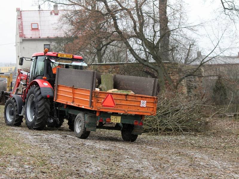 Kácení dřevin u zdi Libosadu.