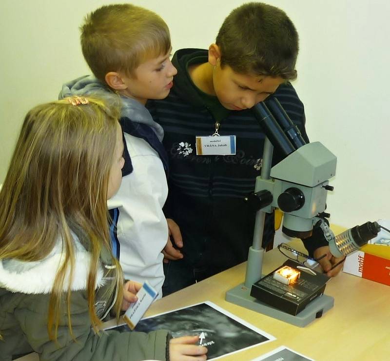 Mladí včelaři z kroužku v Kopidlně na exkurzi ve Výzkumném ústavu včelařském v Dole při rozborech měli na včelí mor.