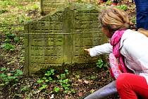 JIČÍNSKÝ patří mezi malebné židovské hřbitovy, které jsou pravidelně udržované. Konají se zde i společné prohlídky.