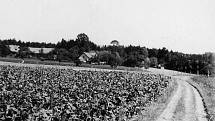 Obec Skařišov v roce 1955, dnes již zaniklá kvůli těžbě písku.