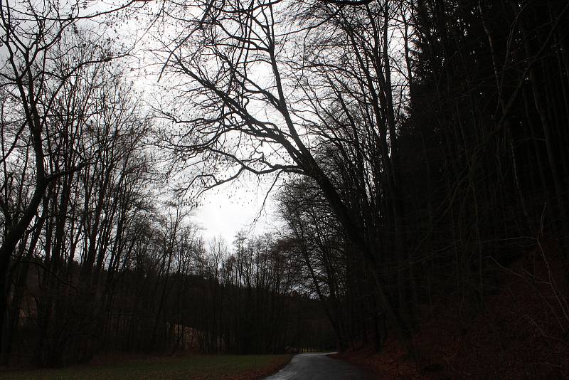 Nebezpečný úsek před obcí Stav, kde jsou nakloněné stromy nad vozovkou druhé třídy.