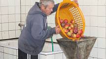 Moštování jablek v Lázních Bělohradě.