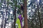 Paraglidista uvízl ve větvích stromů