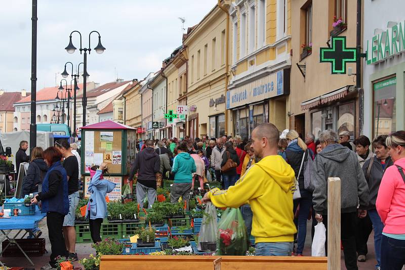 Sadba zeleniny a květiny jdou na odbyt.