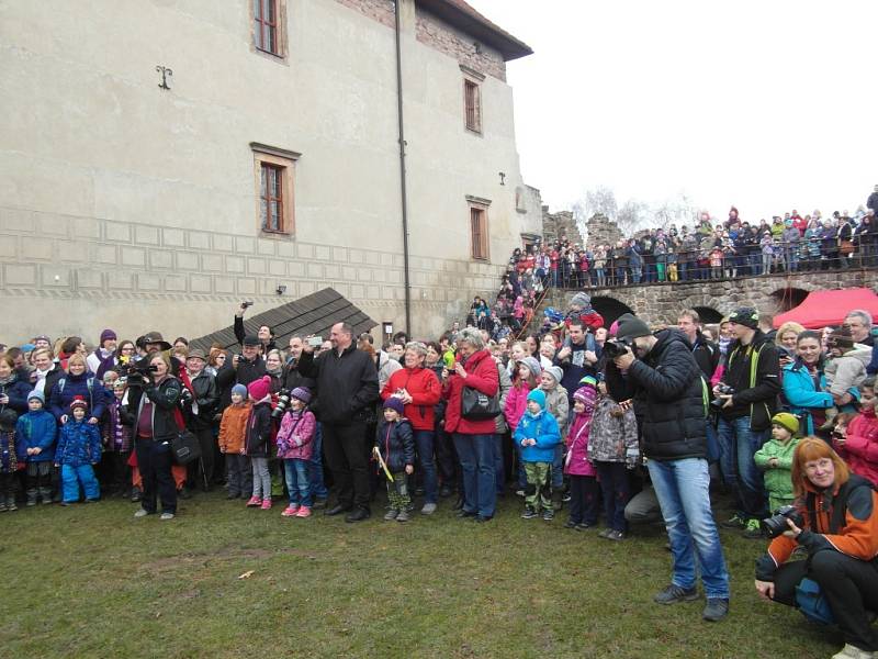 Otevírání hradu Pecka s Kryštofem Harantem a jeho družinou.